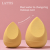 Sponge Makeup Blender With Egg Sustainable Box Cosmetics Soft Beauty Puff Makeup Sponge Puff Custom Colors for Women Makeup